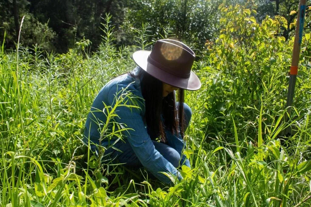 jóvenes reforestan Queréndaro; plantan más de 10 mil árboles-2