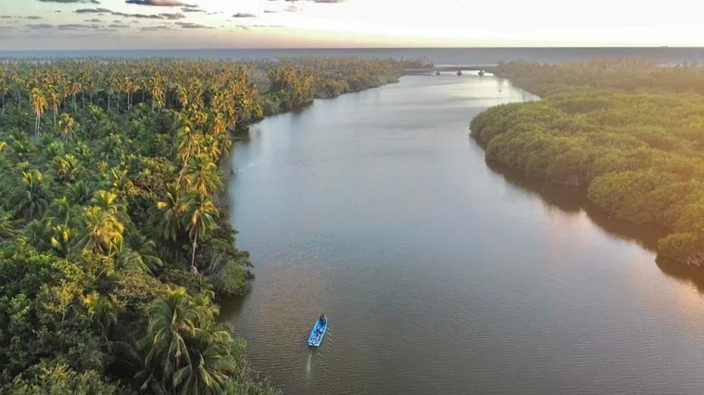 Manglares de Michoacán, bajo protección: Secma