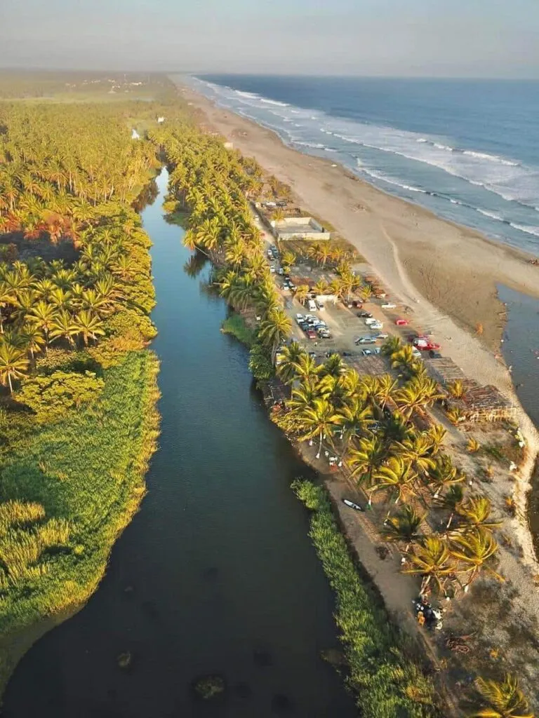 más de 4 mil hectáreas de Manglares de Michoacán, un tesoro natural, bajo protección