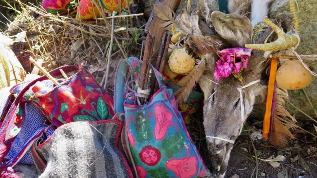 México tiene nuevo sitio del Patrimonio Mundial: Unesco aprueba incluir la ruta Wixárika en la lista-2