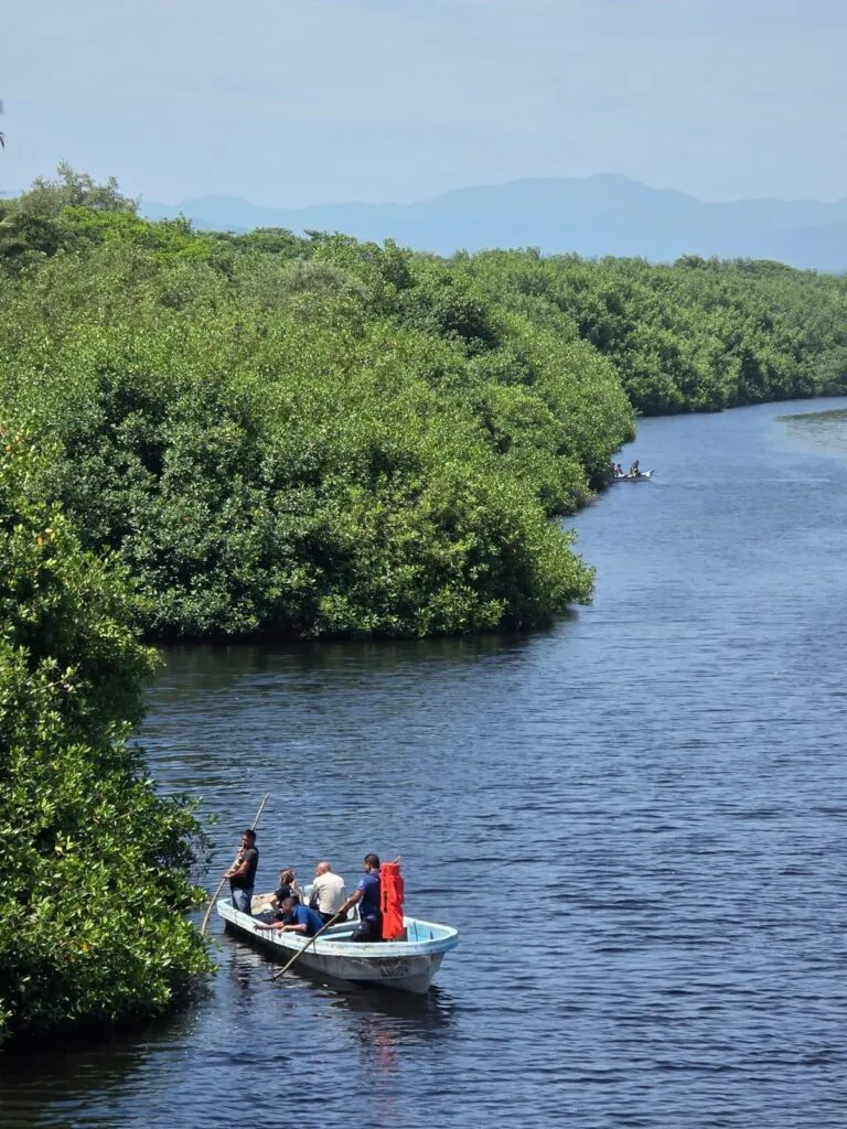 Niño muere al ser atacado por cocodrilos en la costa de Lázaro Cárdenas-1