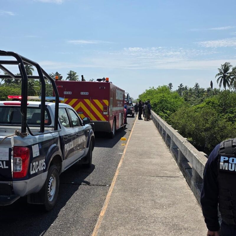 Menor originario de Guanajuato muere atacado por cocodrilos en la Costa de Lázaro Cárdenas