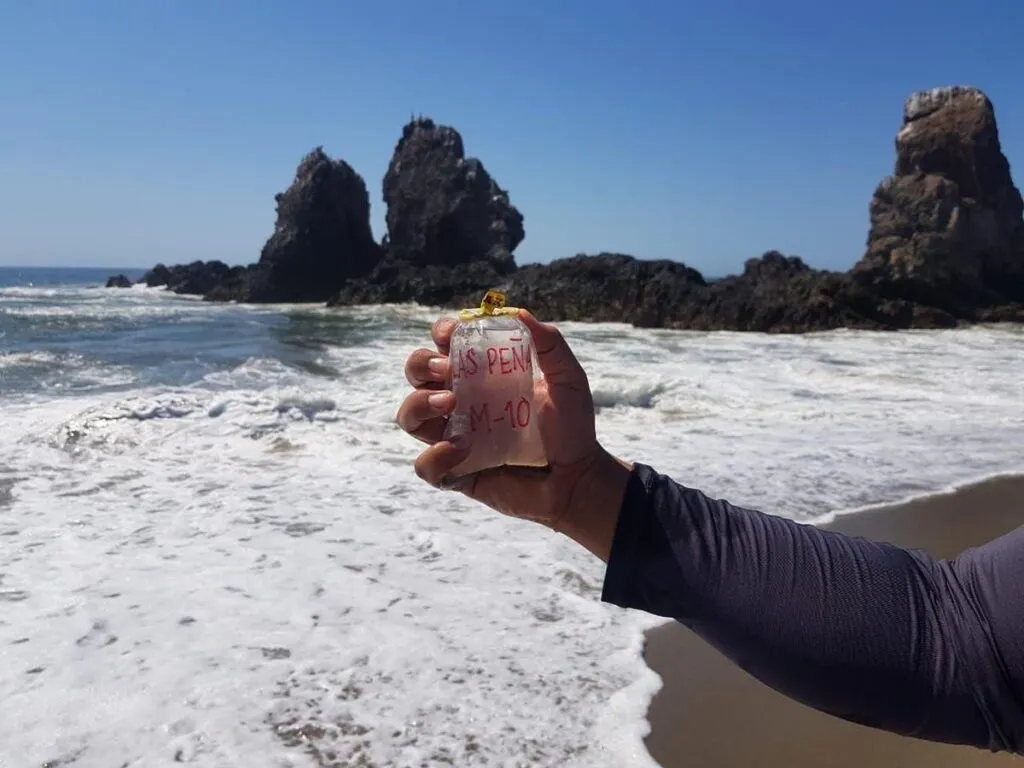 Playas de Michoacán son aptas para uso recreativo durante el verano-1