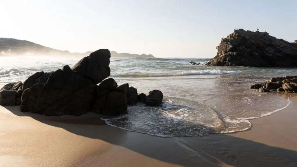Playas de Michoacán son aptas para uso recreativo durante el verano-4