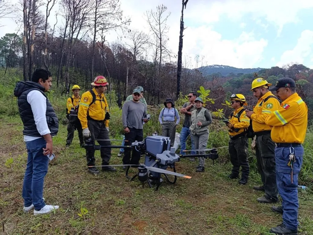 Reforestación con drones en Paracho y Uruapan