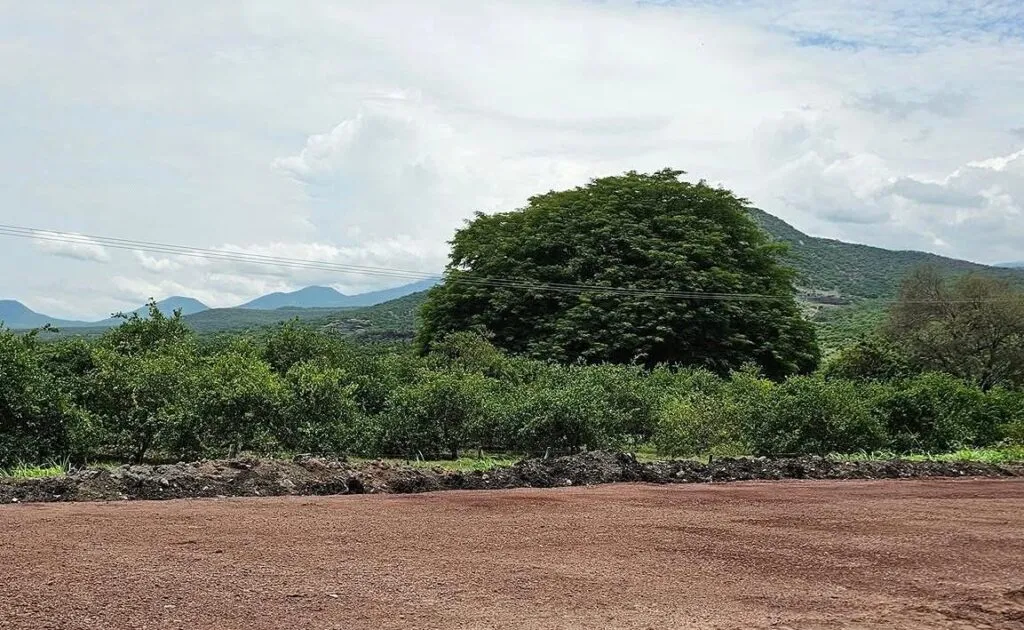 Reportan balaceras y explosiones en Apatzingán, Michoacán