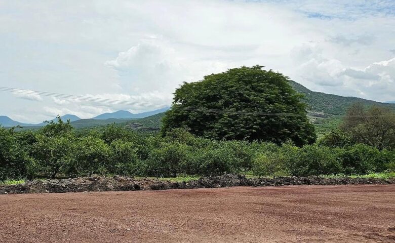 Reportan balaceras y explosiones en Apatzingán, Michoacán