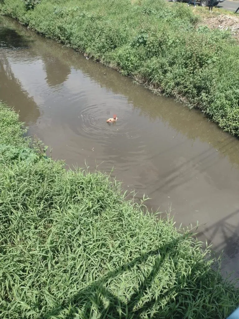 Rescatan a hombre que cayó de forma accidental al río Grande