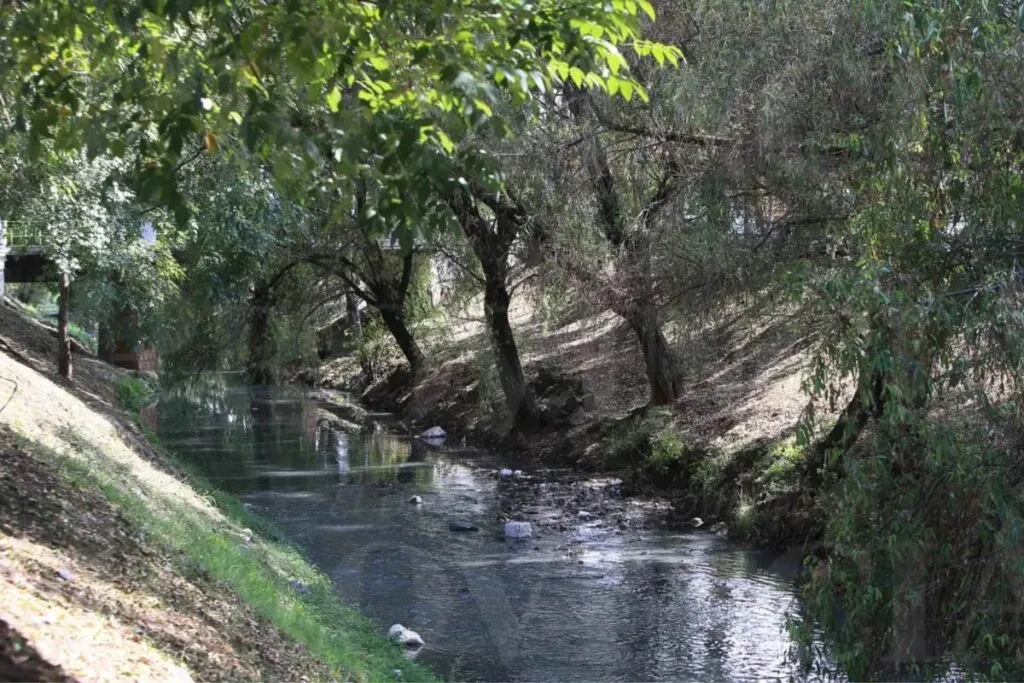 Saneamiento del Río Chiquito de Morelia: Congreso de Michoacán urge recuperación
