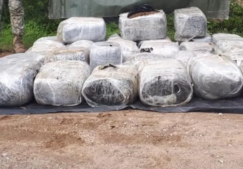 SEDENA asegura 320 kilos de marihuana en Jalisco