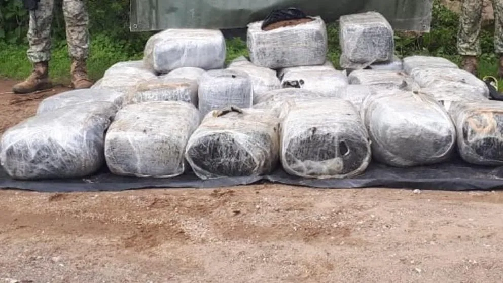 SEDENA asegura 320 kilos de marihuana en Jalisco