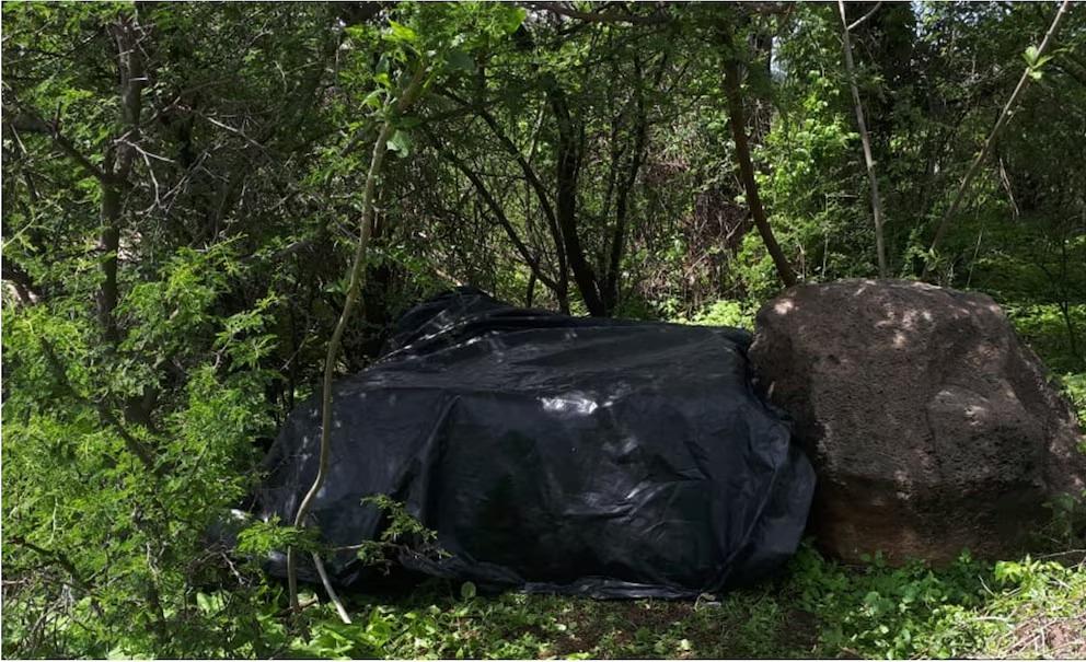 SEDENA asegura 320 kilos de marihuana en Zapopan, Jalisco