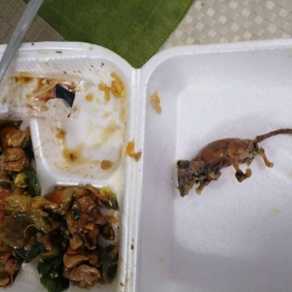 Encuentran ratón en platillo de comida china en Veracruz