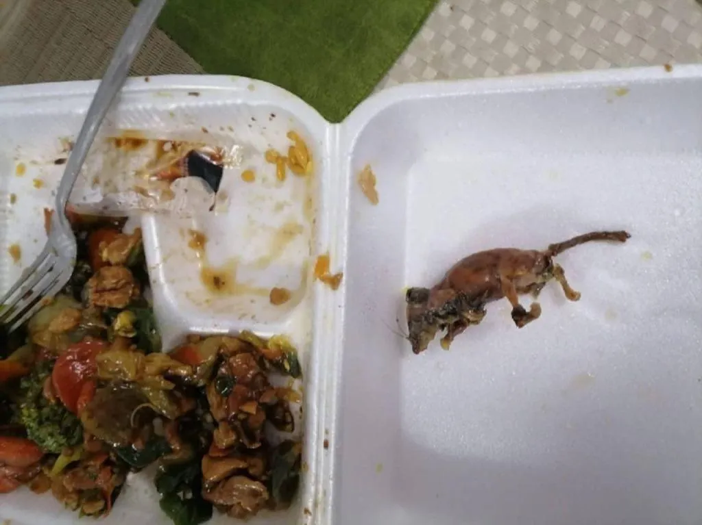 Sucedió en México: Hallan un 'ratón frito' en un platillo de comida China