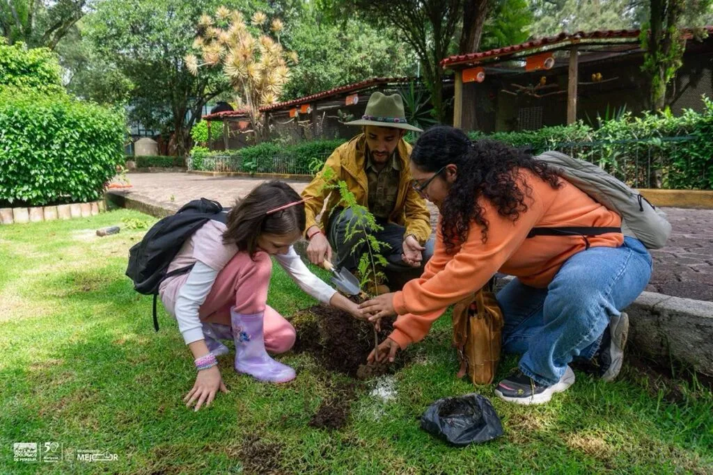 Sumérgete en la diversión con más de 150 cursos de verano del Gobierno de Michoacán