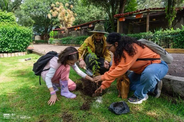 Sumérgete en la diversión con más de 150 cursos de verano del Gobierno de Michoacán