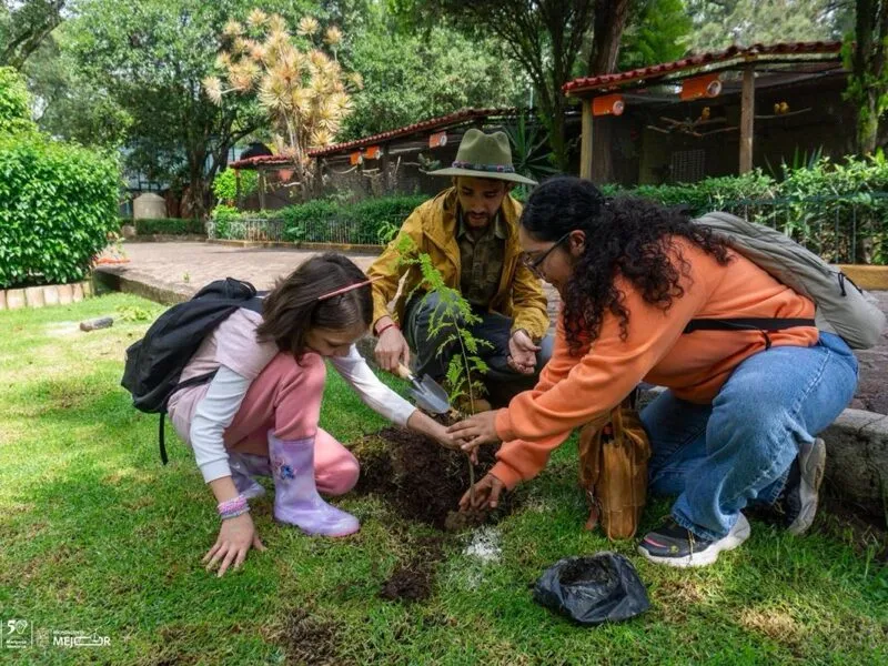 Sumérgete en la diversión con más de 150 cursos de verano del Gobierno de Michoacán