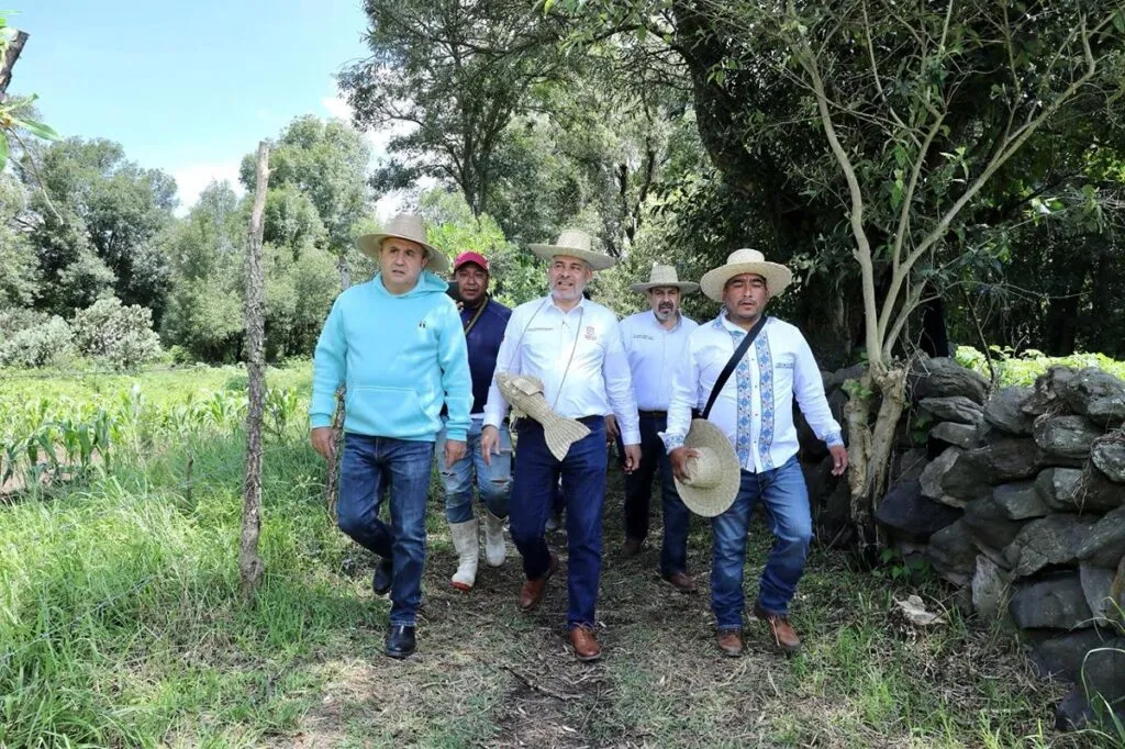 Supervisa Bedolla avances en recuperación del lago de Pátzcuaro
