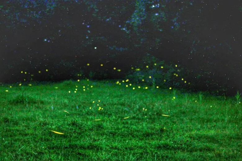 Tlalpujahua, Pueblo Mágico iluminado por la magia de las luciérnagas