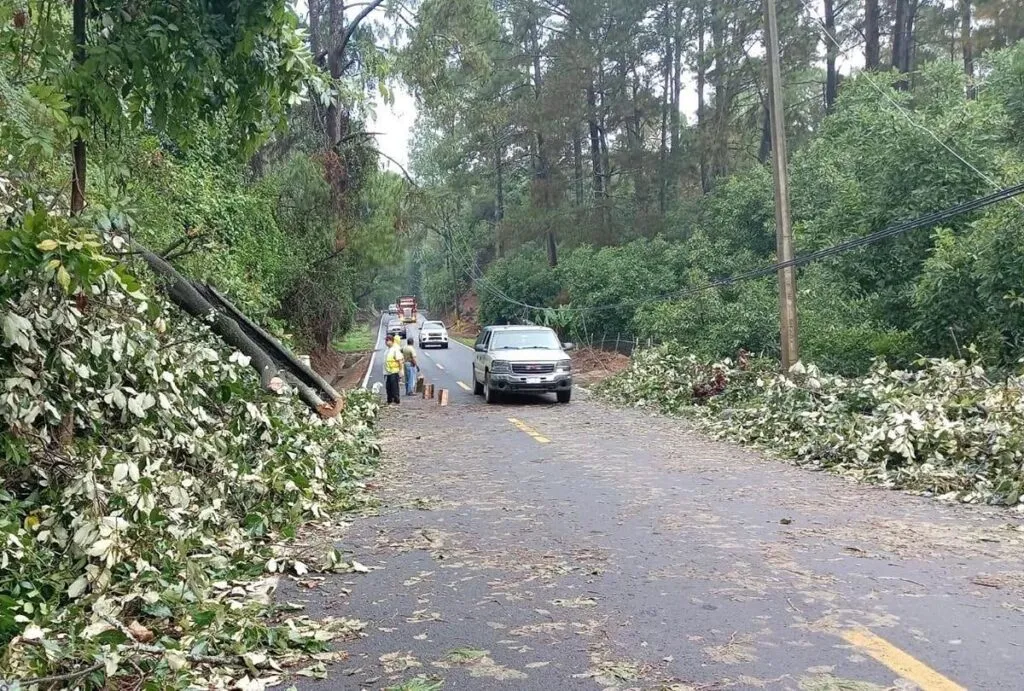 Tu seguridad es prioridad; reporta incidentes en carreteras y evita riesgos: SCOP-1