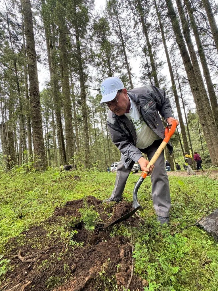 Únete a la campaña para plantar 10 millones de árboles: Secma-1