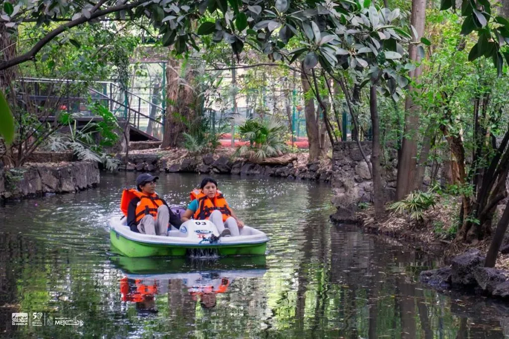 Zoológico de Morelia vive un verano inolvidable; conoce su horario de temporada-2