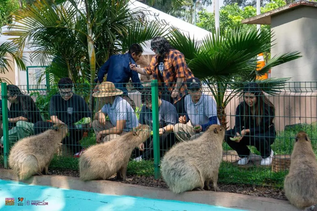 Zoológico de Morelia vive un verano inolvidable; conoce su horario de temporada-3