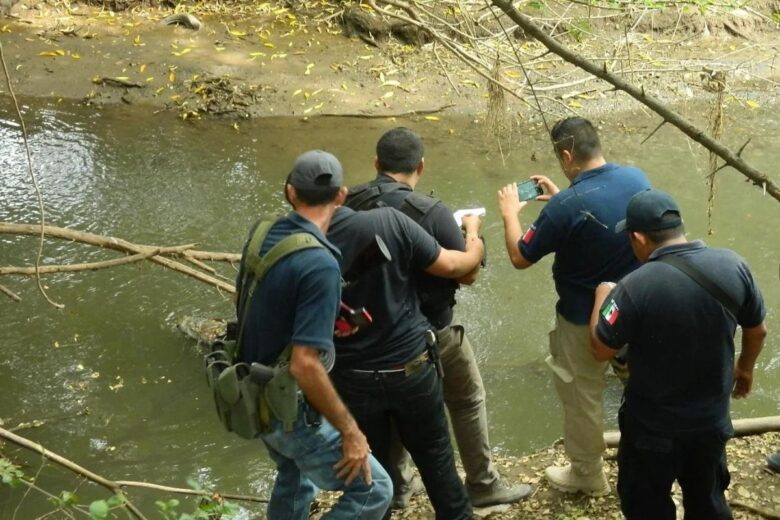 Un cuerpo con heridas de bala fue localizado en la presa Francisco J Múgica de Michoacán. La víctima, aún sin identificar, presentaba signos de descomposición y fue trasladada al Servicio Médico Forense
