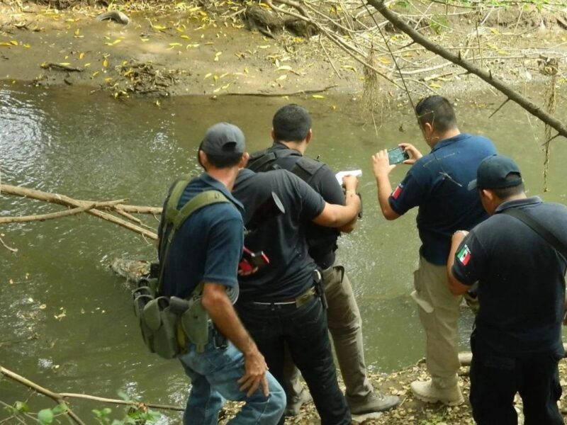 Un cuerpo con heridas de bala fue localizado en la presa Francisco J Múgica de Michoacán. La víctima, aún sin identificar, presentaba signos de descomposición y fue trasladada al Servicio Médico Forense