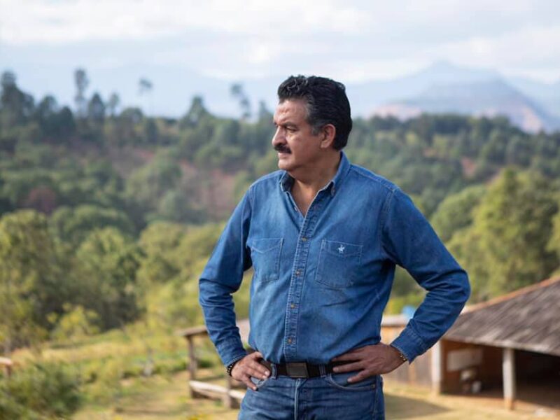 Más de 13 mil hectáreas fueron consumidas por incendios forestales en Michoacán en 2013; Municipios como Morelia, Uruapan y Chilchota concentran los mayores daños, vinculados al cambio de uso de suelo para aguacate y frutillas, aseguró Ricardo Luna García