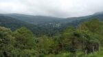 Abre CSIM posibilidad a que consulta en San Miguel del Monte sea en urnas