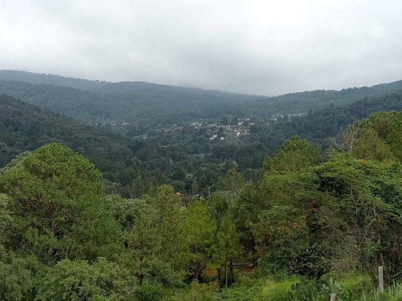 Abre CSIM posibilidad a que consulta en San Miguel del Monte sea en urnas