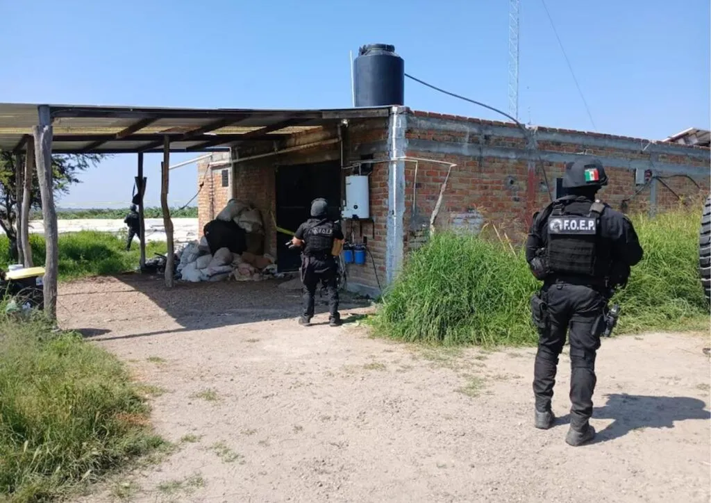 aseguran armas largas, municiones y equipo táctico En rancho de Jalisco