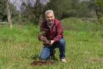 Con 8.2 millones de árboles plantados, reforestación registra 86% de avance: Bedolla