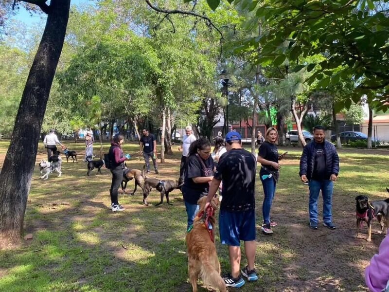 Caminata nocturna y colecta de alimentos para refugios animalistas el próximo sábado en Morelia