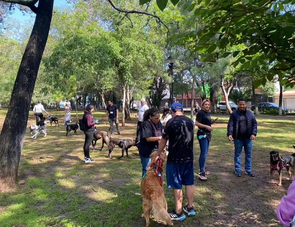Caminata nocturna y colecta de alimentos para refugios animalistas el próximo sábado en Morelia