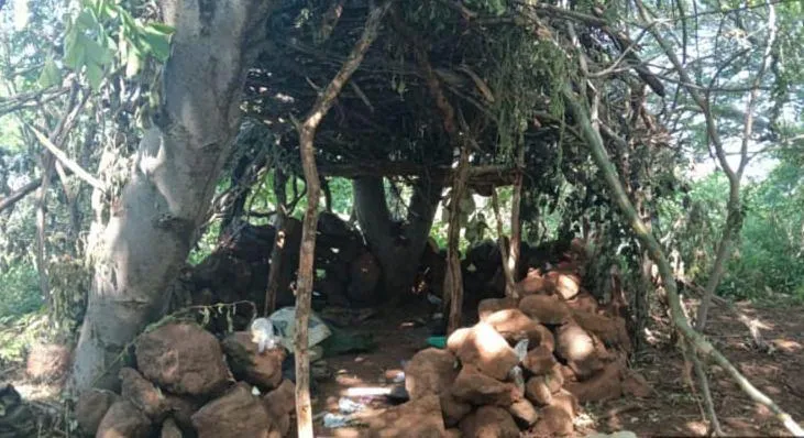 campamento de delincuencia organizada destruido por SSP