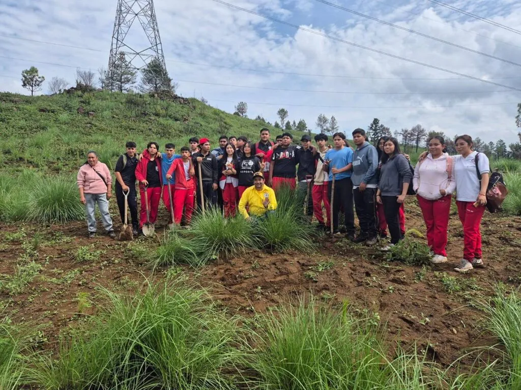 Comunidades indígenas reforestan un millón de árboles en Michoacán-2