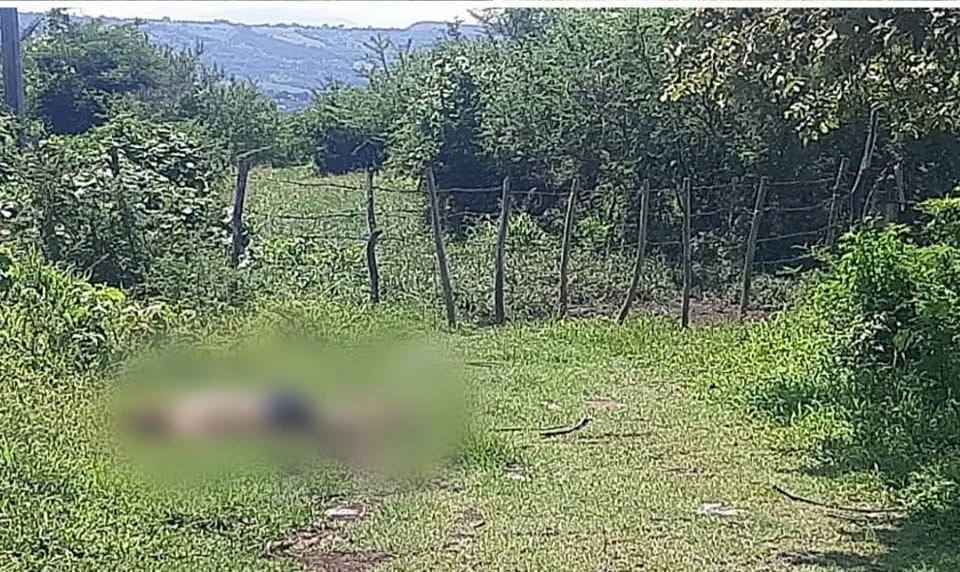 Con huellas de tortura encuentran cadáver de un hombre en Turicato