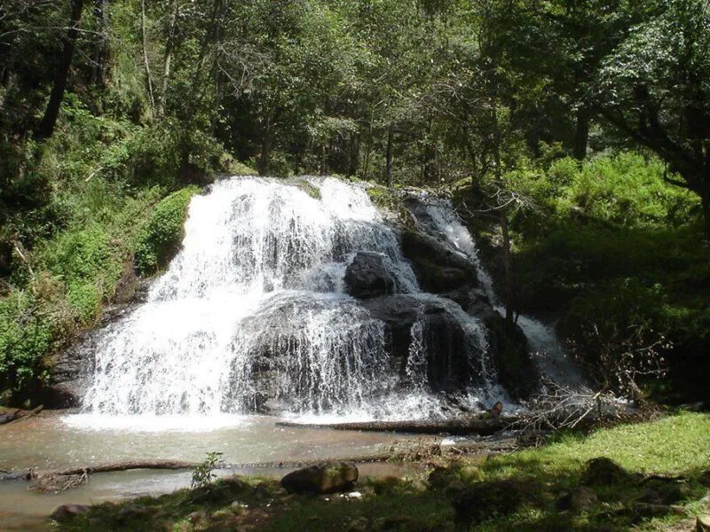 Control del agua y 3.2 mdp, detrás de conflicto interno por autogobierno en San Miguel del Monte, Morelia