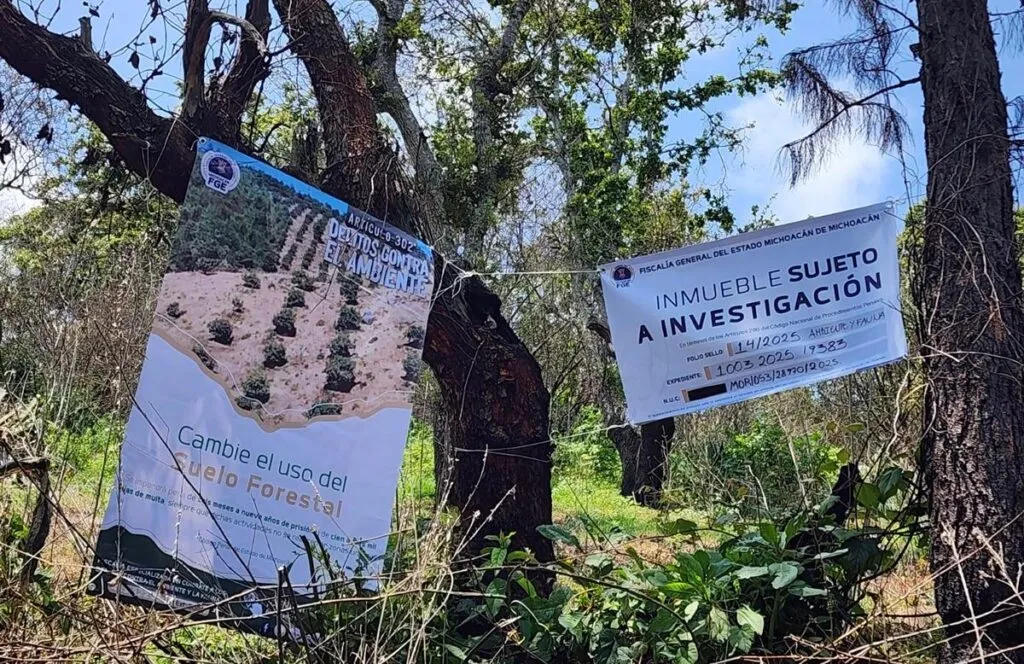 Cumplimenta FGE orden de cateo en predio relacionado con delitos contra el ambiente en Pátzcuaro