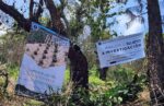 Cumplimenta FGE orden de cateo en predio relacionado con delitos contra el ambiente