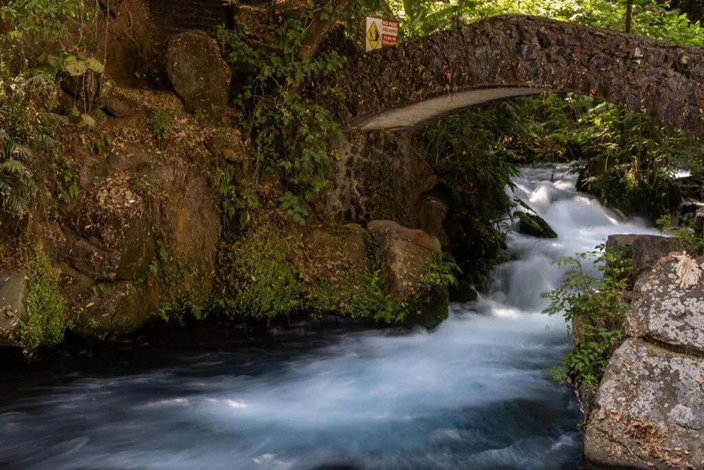 Descubre la riqueza natural que guardan los parques