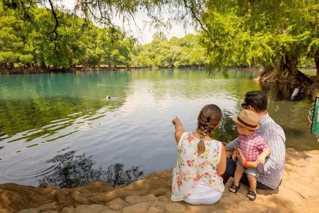 Descubre la riqueza natural que guardan los parques nacionales de Michoacán