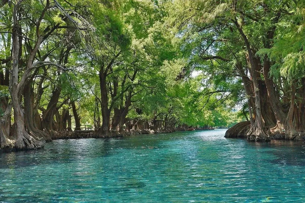 Escápate este verano al lago de Camécuaro, joya natural de Michoacán