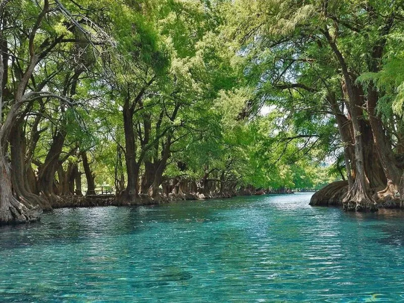 Escápate este verano al lago de Camécuaro, joya natural de Michoacán