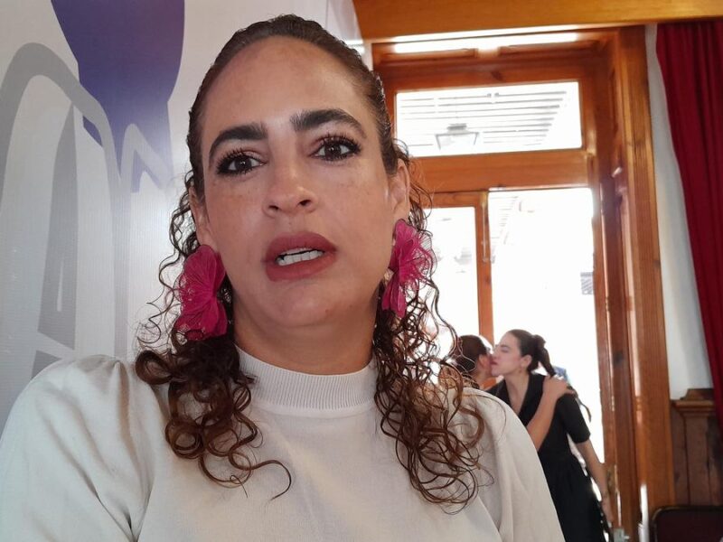 Exploran establecer responsabilidades para quienes adquieran predios deforestados