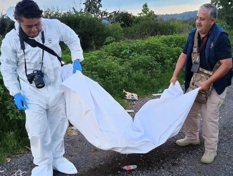 FGE realiza actuaciones por hechos relacionados con maltrato animal en carretera Quiroga-Morelia-2