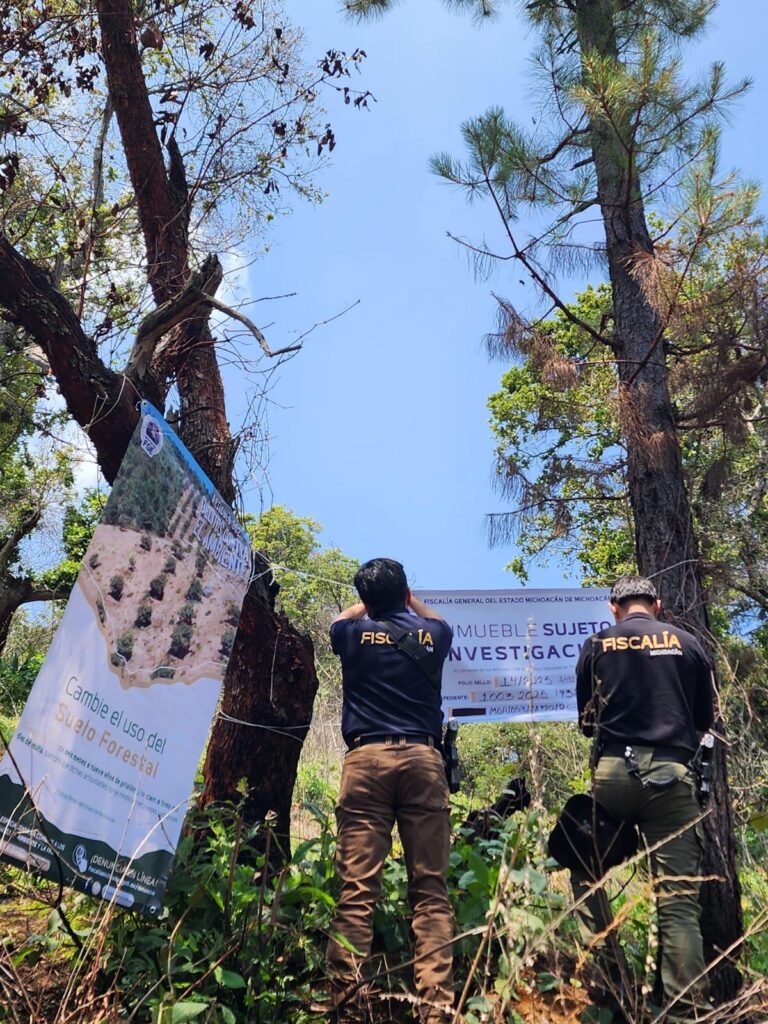 FGE realiza cateo en predio relacionado con delitos contra el ambiente