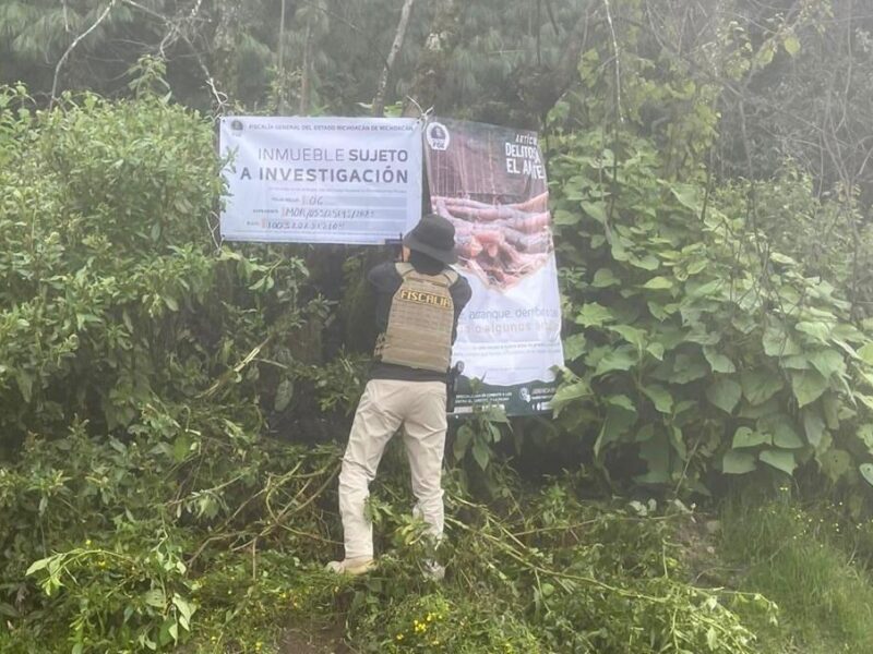 FGE realiza tres cateos en Zinapécuaro Por delitos contra el ambiente
